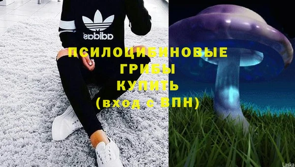 амф Баксан