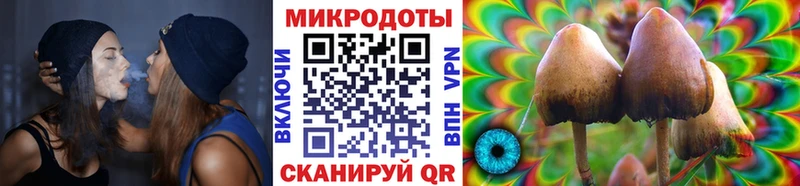 Псилоцибиновые грибы мухоморы  Купить  Мосальск 